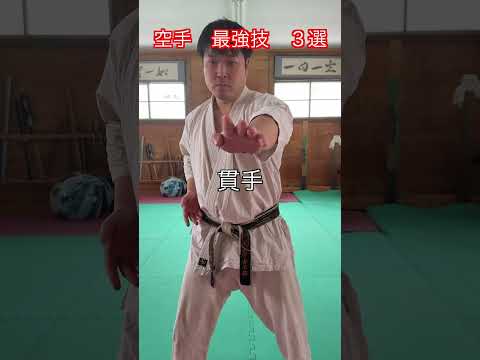 【武道・武術】空手　なんでもありの場合の最強の技　３選　解説！！　#aikido ＃karate #martial #武道 ＃#空手＃合気道＃筋トレ#selfdefens