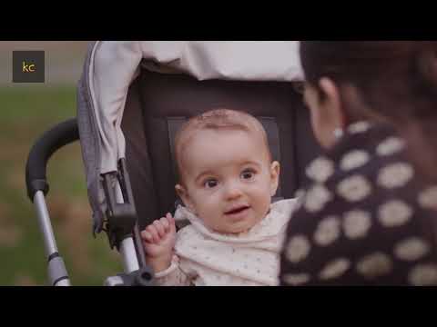Learn Everything about Uppababy Vista V2