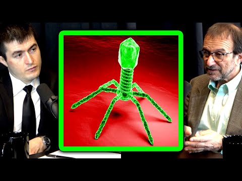 What is a virus? | Vincent Racaniello and Lex Fridman
