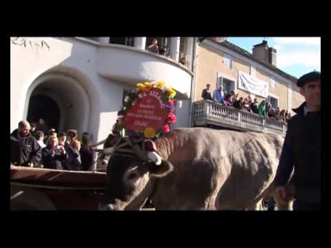 FETE BOEUFS GRAS BAZAS EARL SILLAC ET BARSES 2013