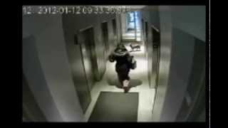 Dog Leash Caught In Elevator Door ||ORIGINAL||
