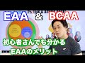 EAAとBCAAについて改めて解説!オススメのEAAサプリは?