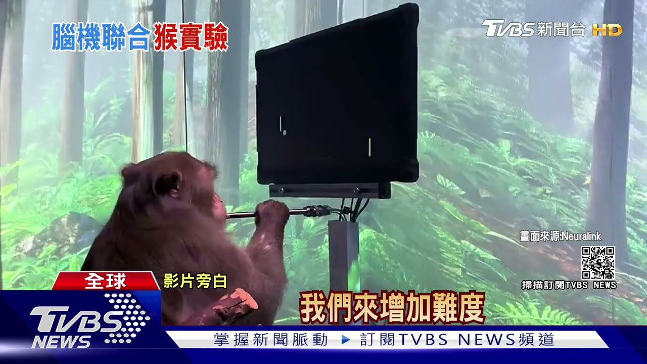 猴用腦波打電動實驗曝光! 馬斯克:比滑手機快