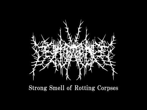 注射針混入豚　Strong Smell of Rotting Corpses