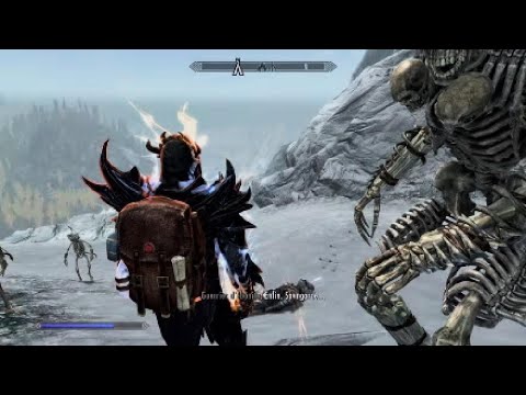 SKYRIM ANNIVERSARY EDITION : NECROMANCY VS EBONY WARRIOR