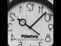Polarboy Back From Nowhere 09 Do What You Can
