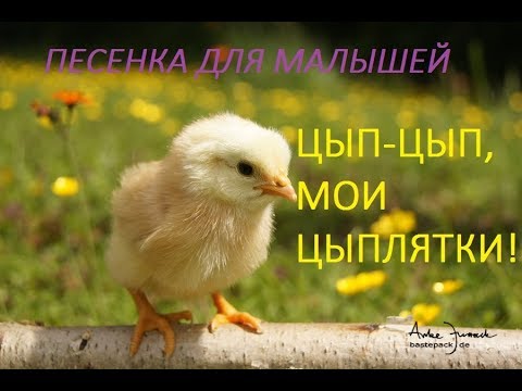 Цып цып, мои цыплятки - Веселая детская песенка на русском языке