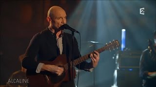 Alcaline, le Mag : Louise Attaque - Avec le temps en live