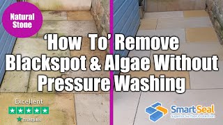 How To Remove Natural Stone Black Spot & Algae Without Intense Pressure Washing (pt2)