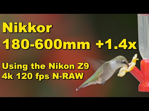 Hummingbird Slow Motion using the Nikon Z9 with the Nikkor 180-600mm + 1.4x