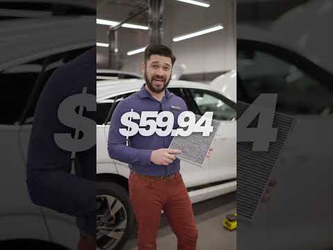 Audi pollen season service video