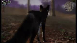 ultimate fox sim 2 killn the crow king