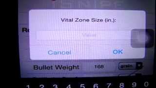 Zero Rifle at Point Blank Range