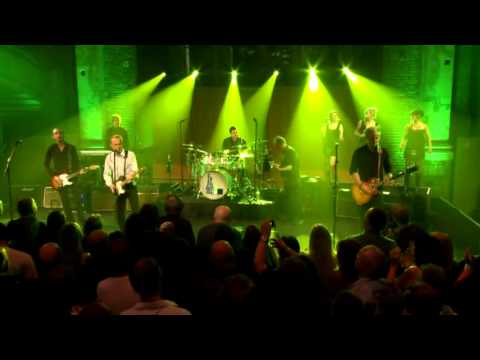 20 CABALLOS SALVAJES.