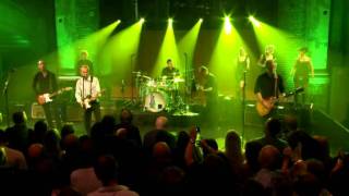 20 CABALLOS SALVAJES.