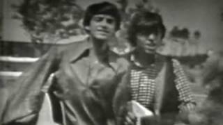 Paul Revere &amp; The Raiders - Over And Over