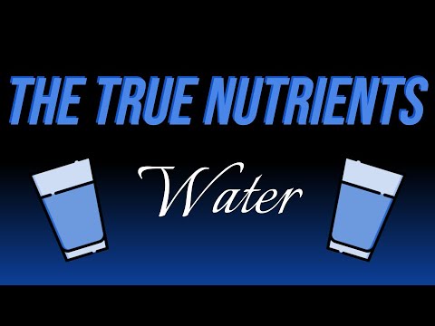 Water - The True Nutrients