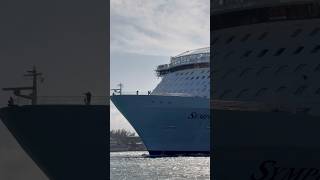 Symphony of the Seas 🛳️ #like #share #comment #subscribe #cruiseship #cruise #vacation #shorts #yt