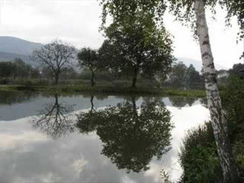 Honza Nedvěd - Rybník