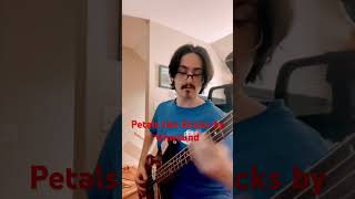 Petals like Bricks by Unwound (BASS) #basscover #unwound #posthardcore #fyp