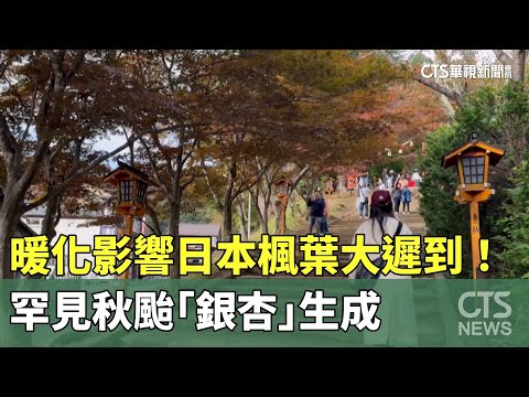 暖化影響日本楓葉大遲到！　罕見秋颱「銀杏」生成