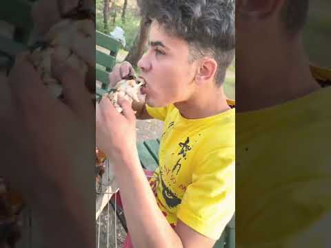 تيك توك القروي علاوي تحشيش