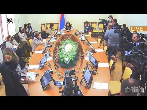 Արցախում հումանիտար աղետ է, սա լուրջ ահազանգ է. Թագուհի Թովմասյան