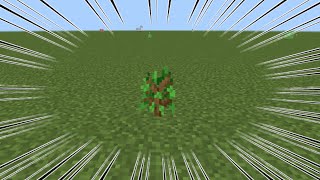 【マインクラフト】木の植え方【初心者必見】