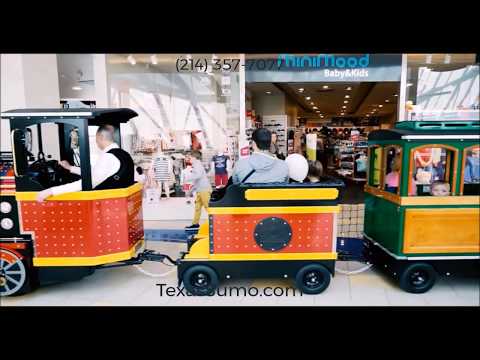 Indoor or Outdoor Trackless Train Rental - Texas