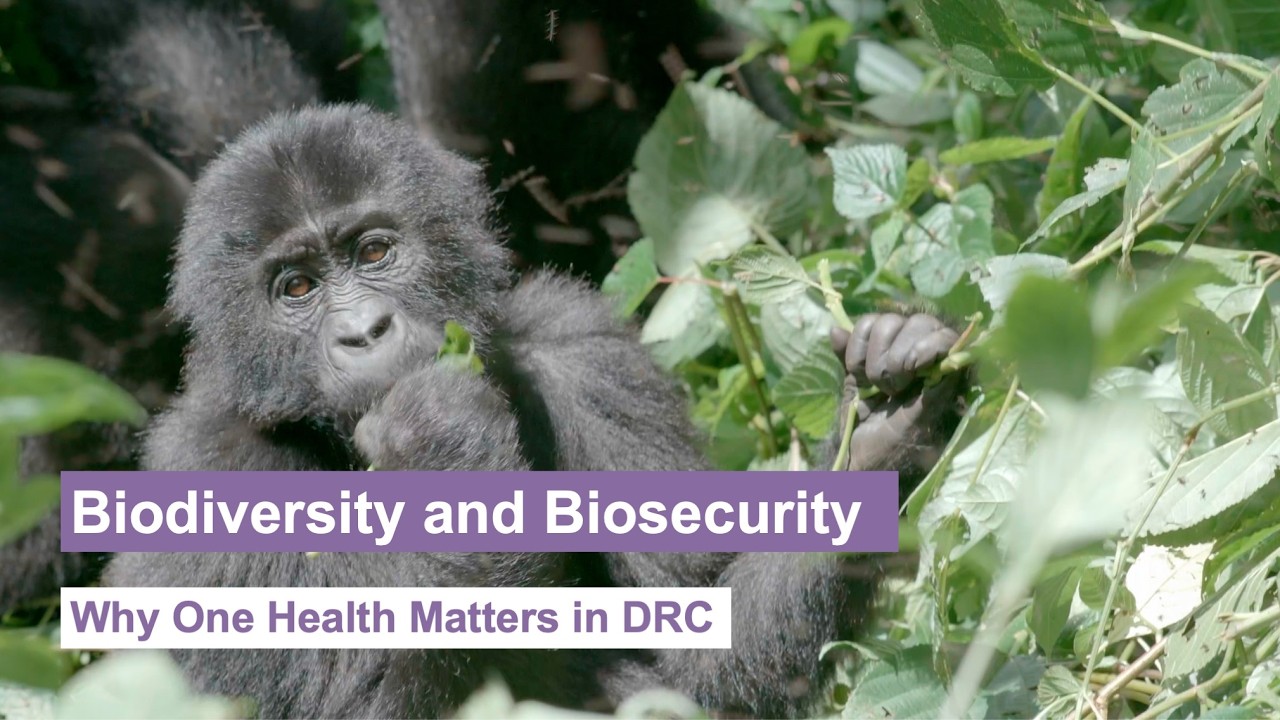Biodiversity and Biosecurity: Why One Health Matters in DRC