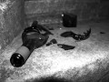 In Gowan Ring -:- A Bottle of Wine 