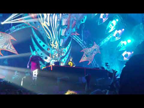 Angerfist Played Cryogenic - Basskick Paradise @ Defqon 1. 2019