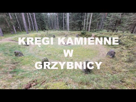 🇬🇧 Archaeological Reserve - "Stone Circles" in Grzybnica. Witches' Tree. West Pomeranian Voivodes...