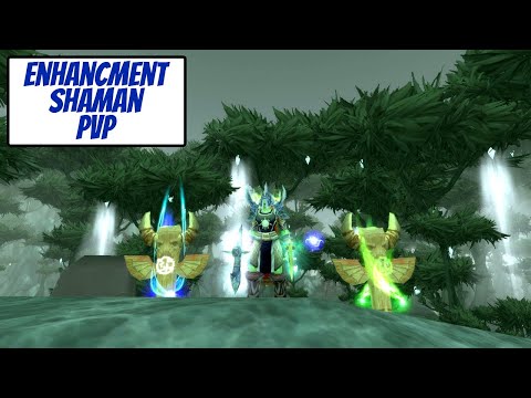 Enhancement Shaman destroys rogues in 1v1s TBC Classic