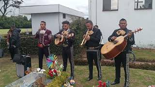 Video de Mariachi juvenil Mexishow