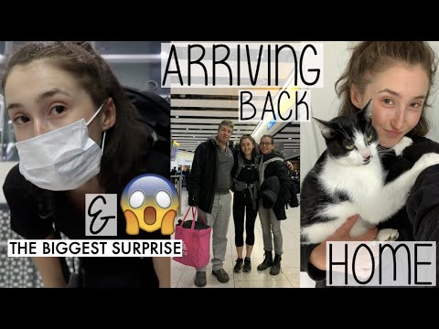 エモーショナルな引越しバックホームVLOG＆史上最大のサプライズ!3ヶ月後）｜HOLLY GOES SOLO #037 (EMOTIONAL MOVING BACK HOME VLOG & THE BIGGEST SURPRISE EVER! (3 MONTHS LATER) | HOLLY GOES SOLO #037)