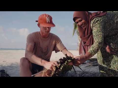 A dh.Maamigili (Maldives yacht rally 2023)