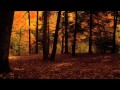 Hold This Woe - Swallow the Sun 