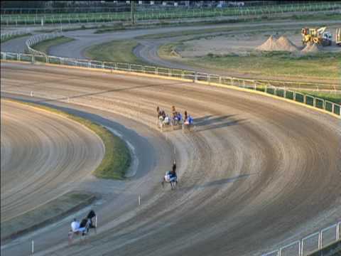 Trotto 01/05/2017 - 2ª corsa minitrotter