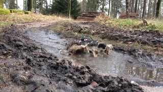 preview picture of video 'SloMo Mud Race Kaisergarten Compilation'