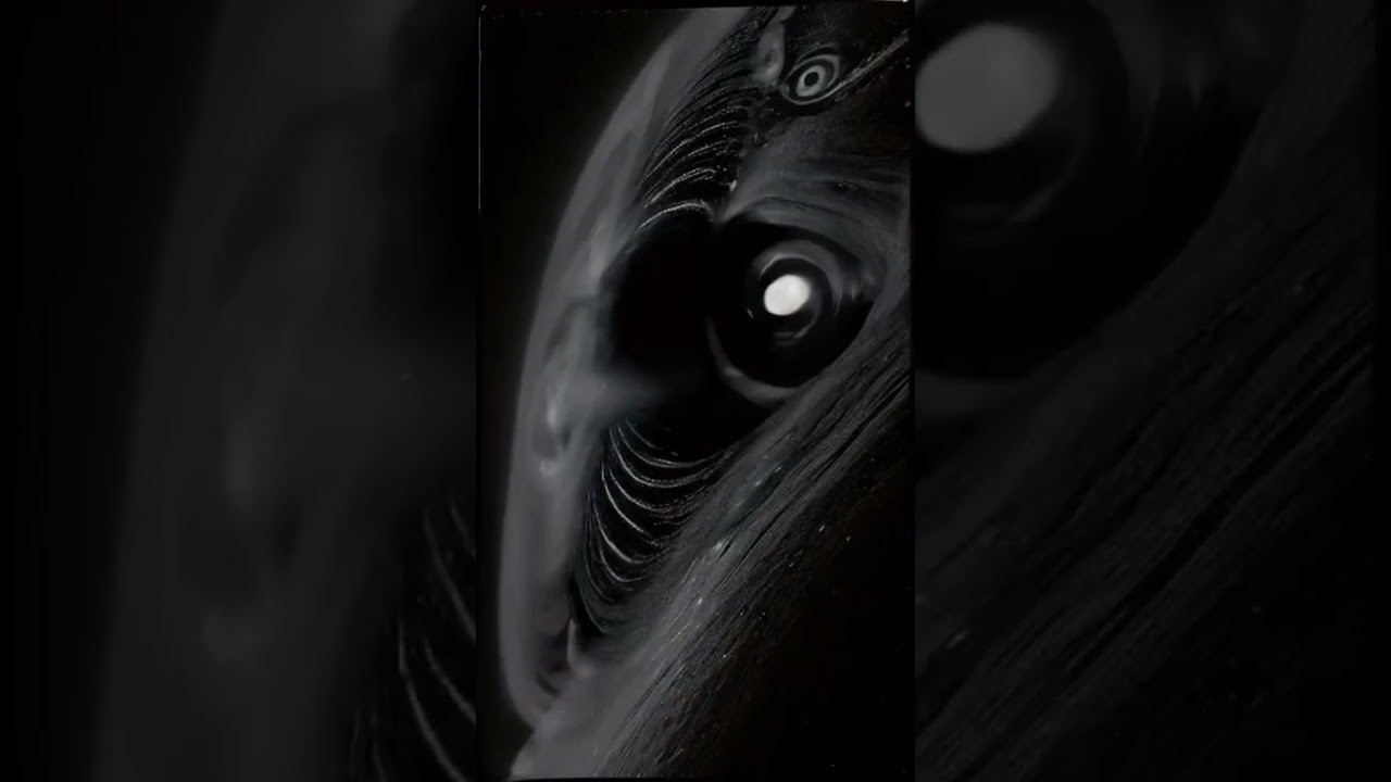 You'll never get bored with our playlists. Stream our unique playlists now #playlists #electronic