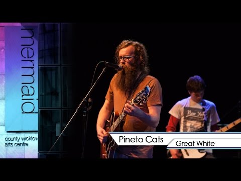 Pineto Cats - 'Great White' [Mermaid Sounds]