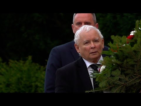 Warto zobaczyć, jak działa pisowska