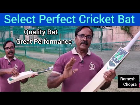 Select Perfect Cricket Bat Quality Cricket Bat Kaisa Ho How To Select A Good Cricket Bat