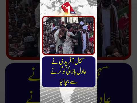 سہیل آفریدی نے عادل بزائی کو گرنے سے بچا لیا۔