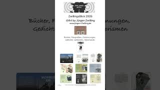 ZwillingsBlick auf einen Blick 