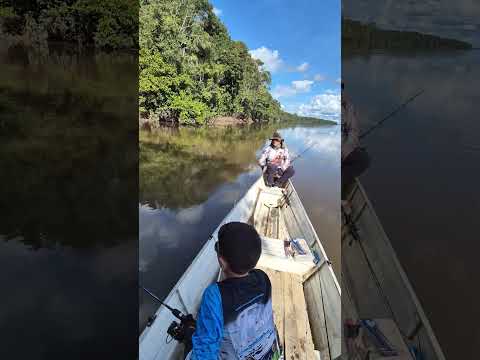 Mathias pesca una Dorada o Sardinata del Río Japurá, Amazonas Brasil 🎣🐟💚