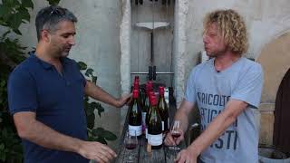 Mathieu Lapierre - Le domaine Marcel Lapierre/The Domaine Marcel Lapierre