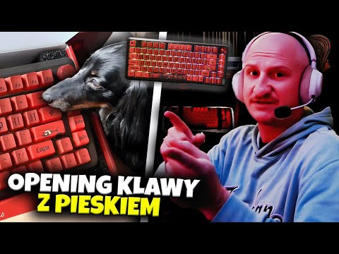 "PRZEGLĄD DISCORDA" | PARIS PLATYNOV