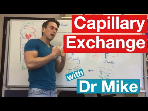 Capillary exchange